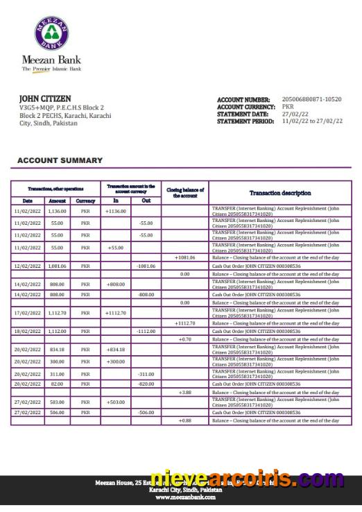 Pakistan Meezan bank statement